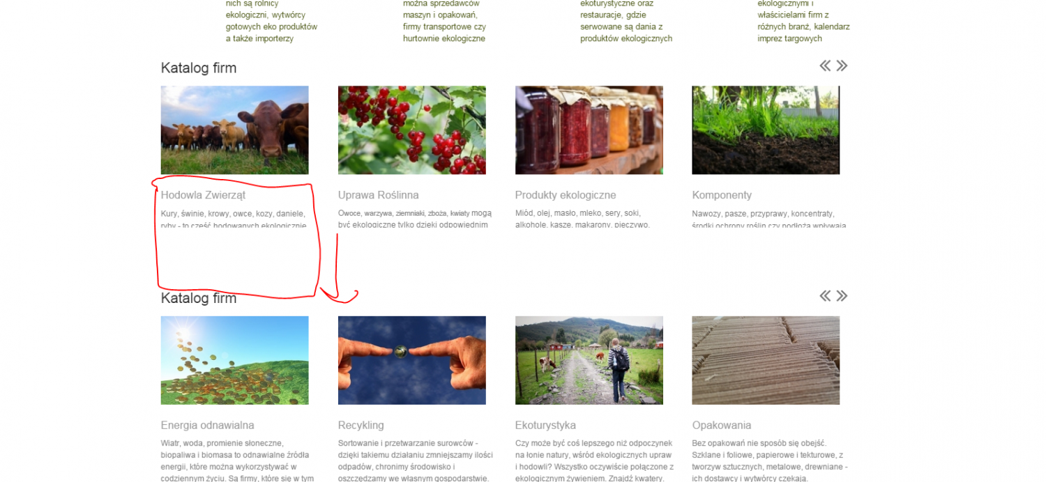 Przechwytywanie_2014-11-14.png Przechwytywanie_2014-11-14.png